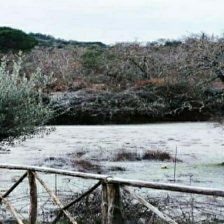 Villa Olivae Aracena Esterno foto