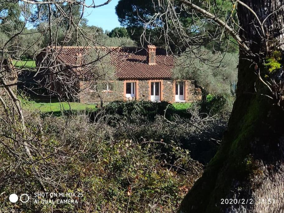 Villa Olivae Aracena Esterno foto