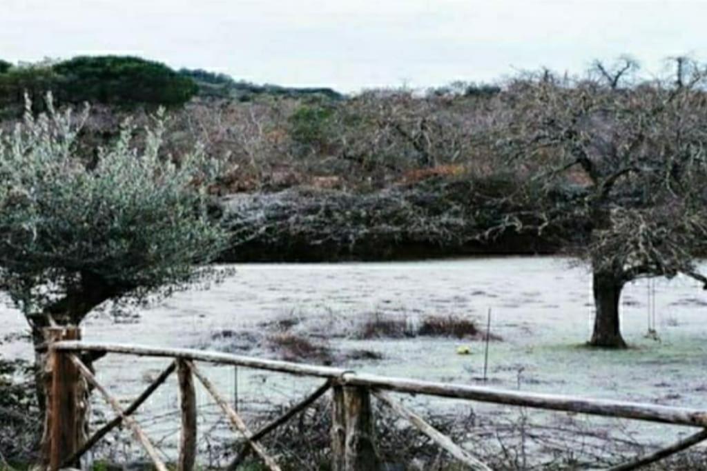 Villa Olivae Aracena Esterno foto