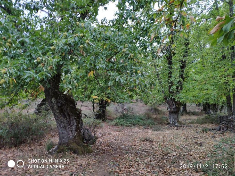 Villa Olivae Aracena Esterno foto